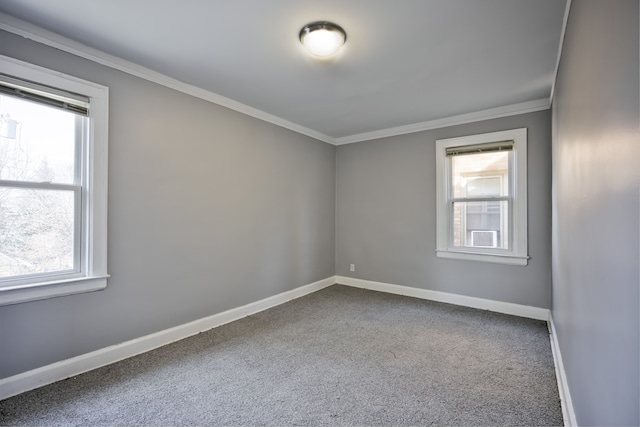 14955 Penrod St, Detroit, MI 48223 - spare room with plenty of natural light, crown molding, baseboards, and dark colored carpet