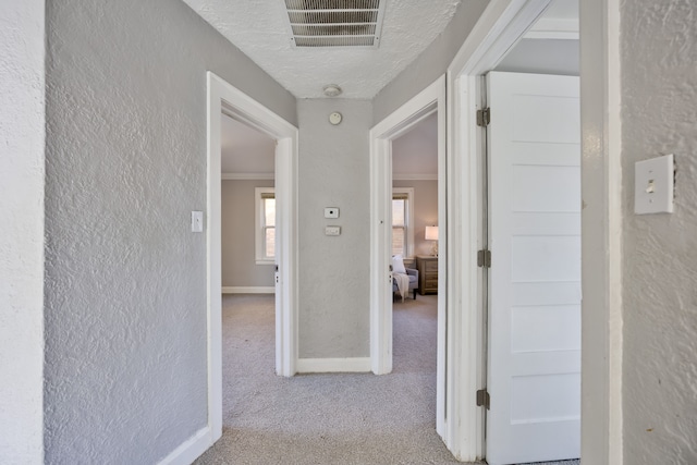 14955 Penrod St, Detroit, MI 48223 - hall with a textured wall, carpet, baseboards, and a textured ceiling