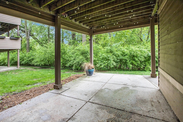 300 Briarcrest Dr Unit 141, Ann Arbor, MI 48104 - view of patio