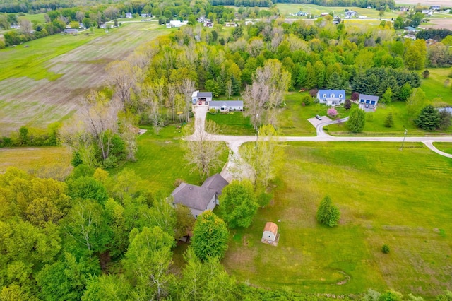 drone / aerial view