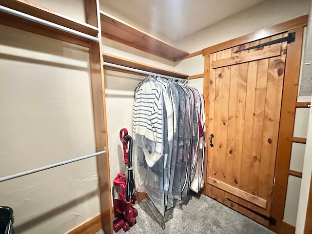 4909 Barnstable Ln, Lansing, MI 48906 - spacious closet featuring carpet flooring