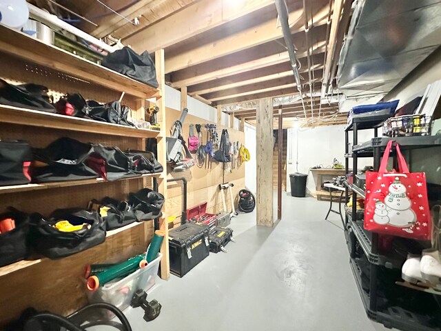 4909 Barnstable Ln, Lansing, MI 48906 - view of storage area