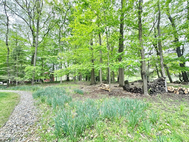 4909 Barnstable Ln, Lansing, MI 48906 - view of local wilderness