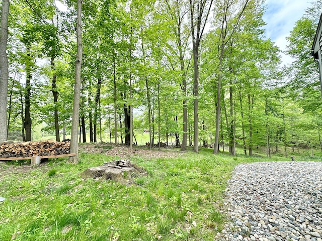 4909 Barnstable Ln, Lansing, MI 48906 - view of yard