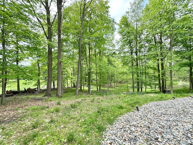 4909 Barnstable Ln, Lansing, MI 48906 - view of yard