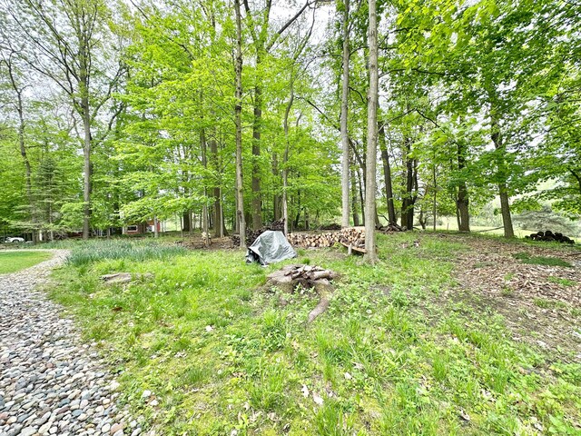 4909 Barnstable Ln, Lansing, MI 48906 - view of yard