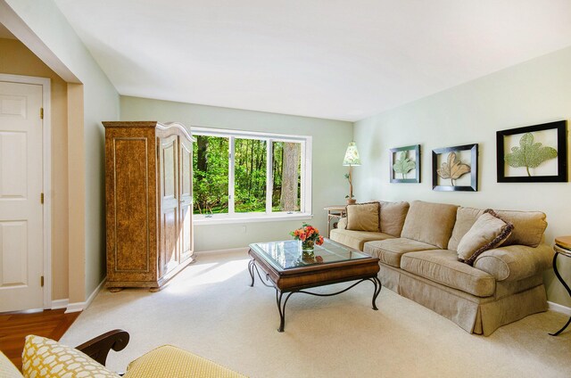8461 Webster Hills Rd, Dexter, MI 48130 - living room featuring baseboards and carpet