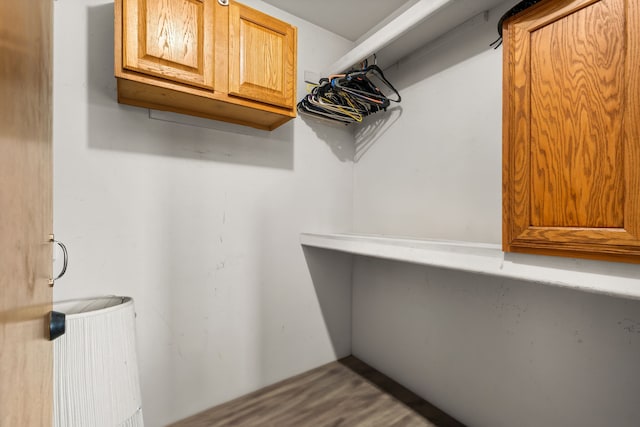47697 Barclay Ct, Shelby Twp, MI 48317 - view of walk in closet