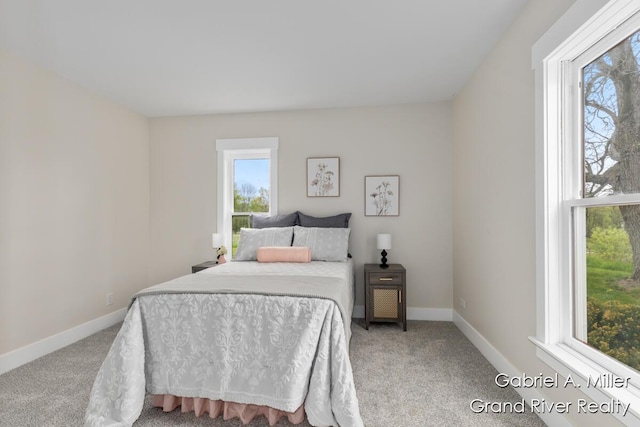 49 E 112th St, Grant, MI 49327 - bedroom featuring carpet and baseboards