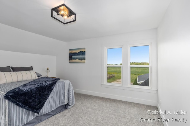 49 E 112th St, Grant, MI 49327 - bedroom with baseboards and carpet