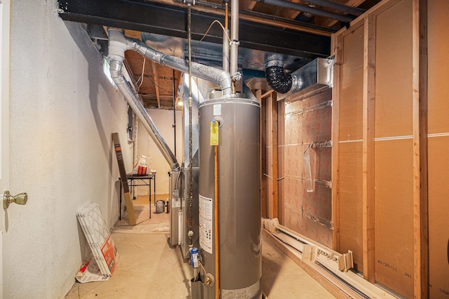 47291 Fairlawn Ct, Canton, MI 48188 - utility room with gas water heater