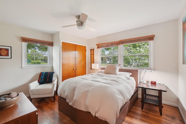 1815 Cooley Ave, Ann Arbor, MI 48103 - bedroom with multiple windows, a closet, wood finished floors, and ceiling fan