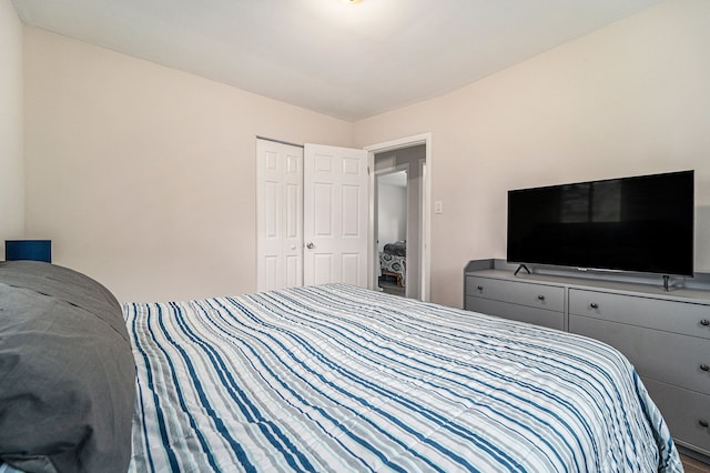 33731 Newport Dr, Sterling Heights, MI 48310 - bedroom with a closet