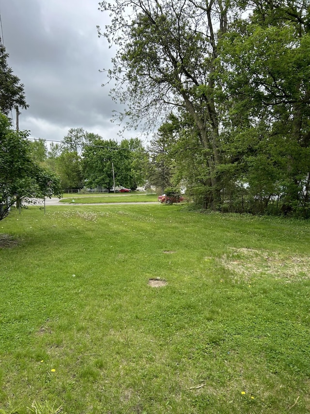 view of green lawn
