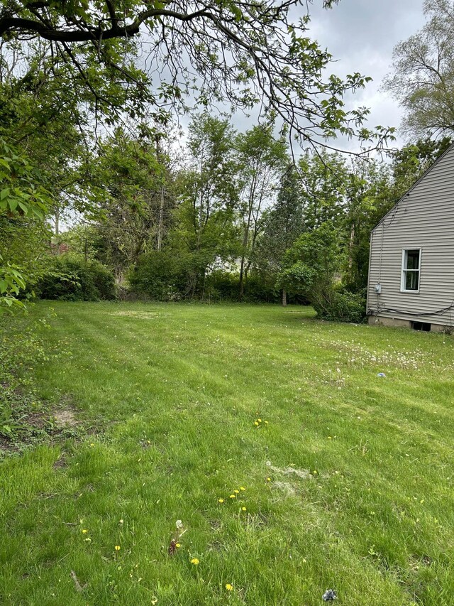 view of grassy yard