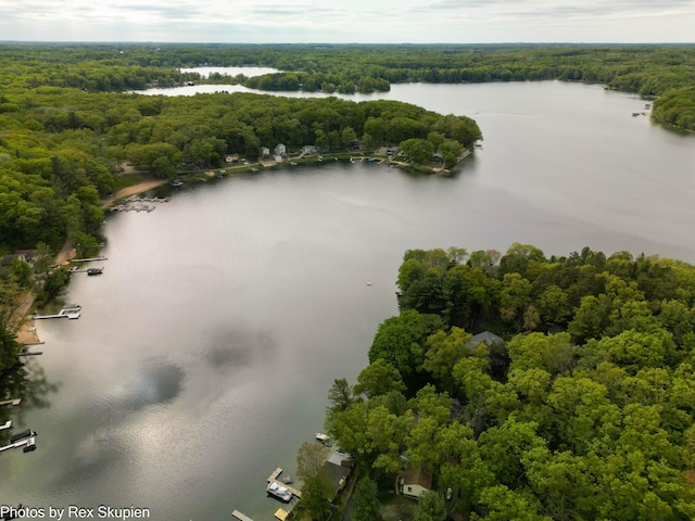 5705 Centerline Rd, Newaygo, MI 49337 - drone / aerial view of a nearby body of water and a heavily wooded area