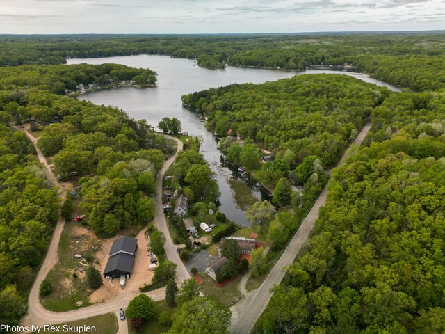 5705 Centerline Rd, Newaygo, MI 49337 - aerial view of a forest and a large body of water