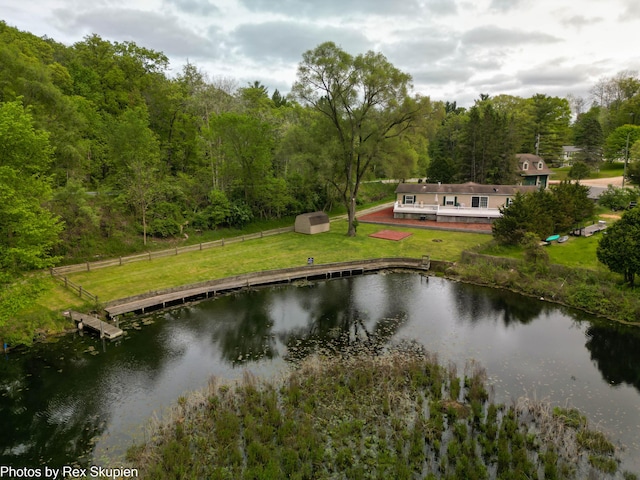 5705 Centerline Rd, Newaygo, MI 49337 - water view featuring a heavily wooded area and a dock