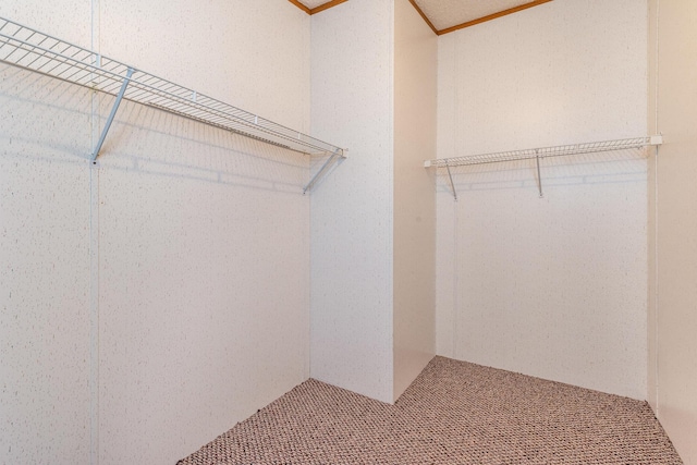 5705 Centerline Rd, Newaygo, MI 49337 - walk in closet featuring carpet flooring