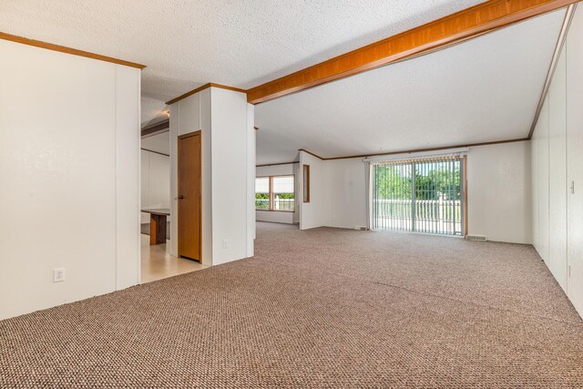 5705 Centerline Rd, Newaygo, MI 49337 - unfurnished living room featuring carpet flooring and a textured ceiling