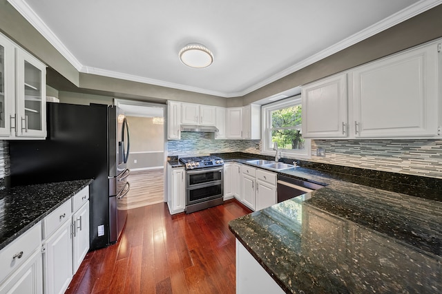 18080 Parke Ln, Grosse Ile, MI 48138 - kitchen with appliances with stainless steel finishes, under cabinet range hood, a sink, dark wood-style floors, and white cabinetry