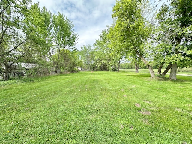 view of green lawn