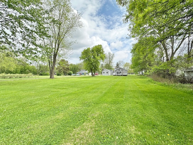 view of green lawn