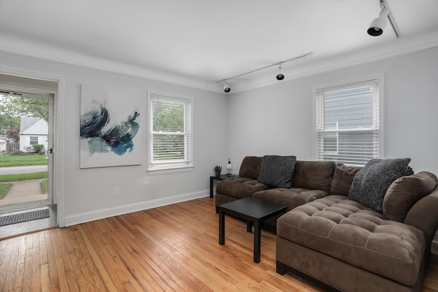 living room featuring track lighting, healthy amount of natural light, light wood finished floors, and baseboards