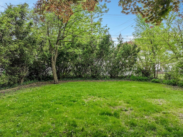 view of yard