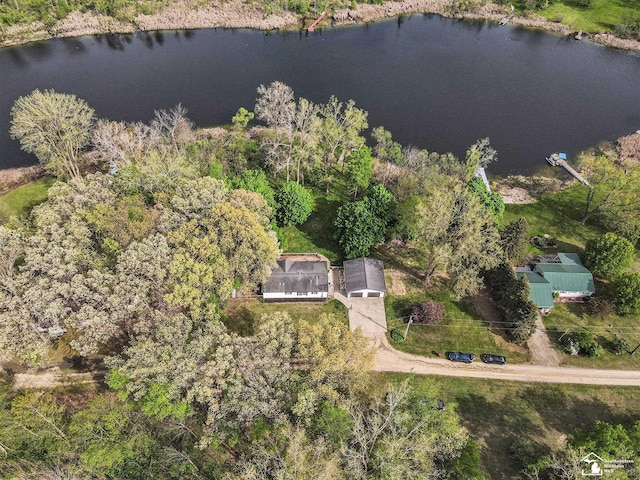 635 Pokey Dr, Hastings, MI 49058 - aerial view of a large body of water