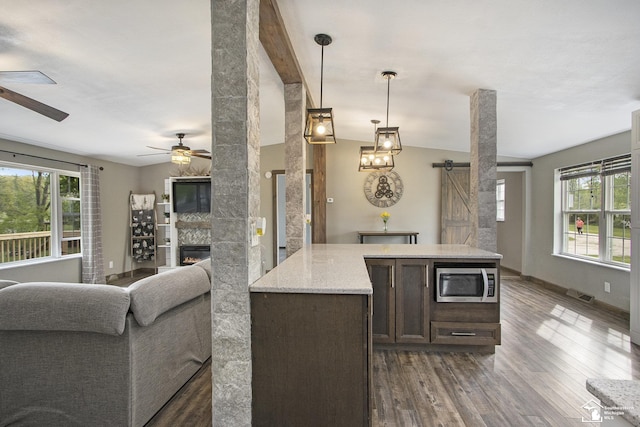 635 Pokey Dr, Hastings, MI 49058 - kitchen featuring stainless steel microwave, a barn door, plenty of natural light, and a ceiling fan