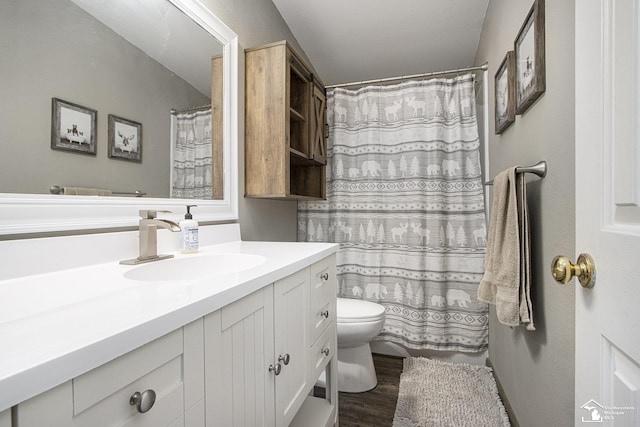 635 Pokey Dr, Hastings, MI 49058 - bathroom with toilet, vanity, and wood finished floors