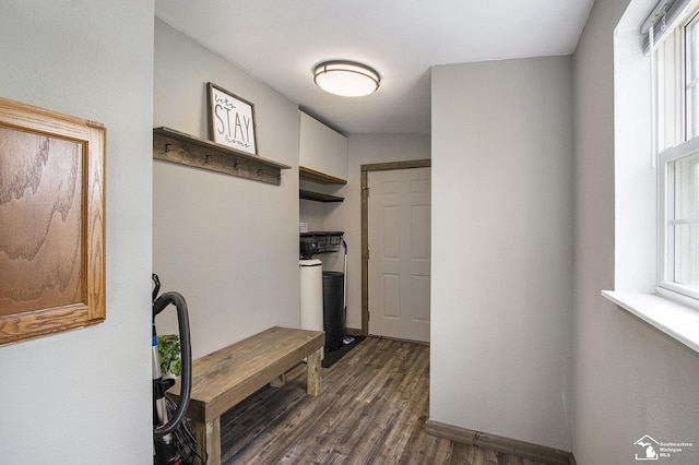 635 Pokey Dr, Hastings, MI 49058 - mudroom featuring dark wood-type flooring, healthy amount of natural light, and baseboards