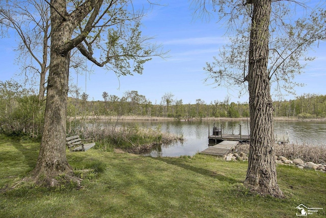 635 Pokey Dr, Hastings, MI 49058 - dock featuring a water view, a forest view, and a yard