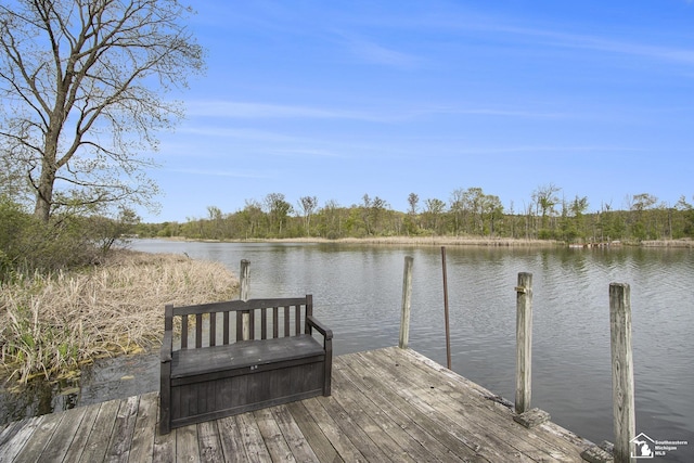 635 Pokey Dr, Hastings, MI 49058 - dock with a water view