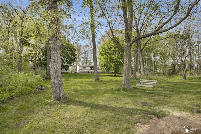 635 Pokey Dr, Hastings, MI 49058 - view of grassy yard