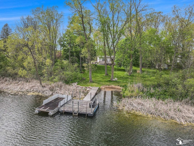 635 Pokey Dr, Hastings, MI 49058 - dock area with a water view