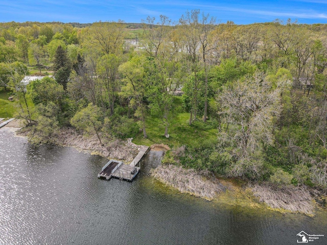 635 Pokey Dr, Hastings, MI 49058 - bird's eye view of a large body of water and a forest