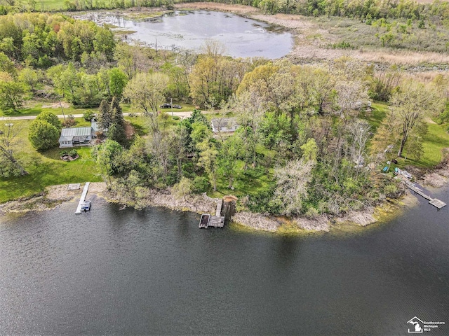 635 Pokey Dr, Hastings, MI 49058 - drone / aerial view of a large body of water