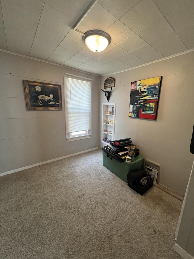 939 Baraga St NE, Grand Rapids, MI 49503 - rec room with carpet and baseboards