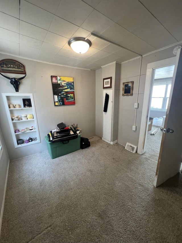 939 Baraga St NE, Grand Rapids, MI 49503 - game room featuring carpet flooring