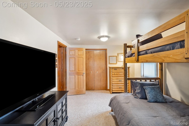 13953 Grandpoint Dr, Cement City, MI 49233 - carpeted bedroom featuring a closet