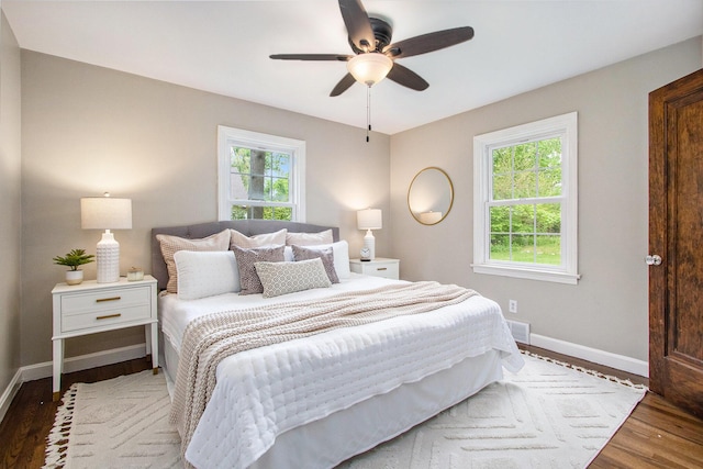 424 S Cass St, Berrien Springs, MI 49103 - bedroom with multiple windows, baseboards, and wood finished floors