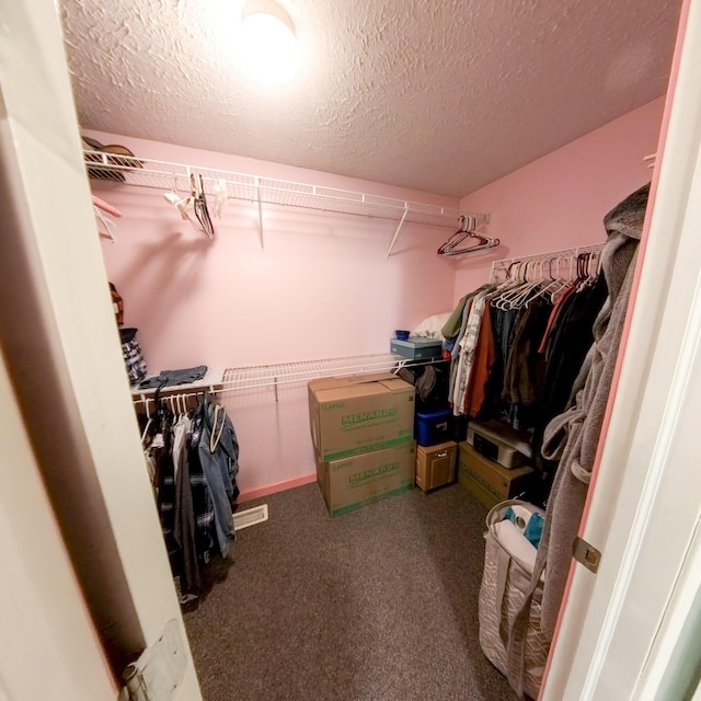 5734 108th Ave, Pullman, MI 49450 - spacious closet with carpet flooring
