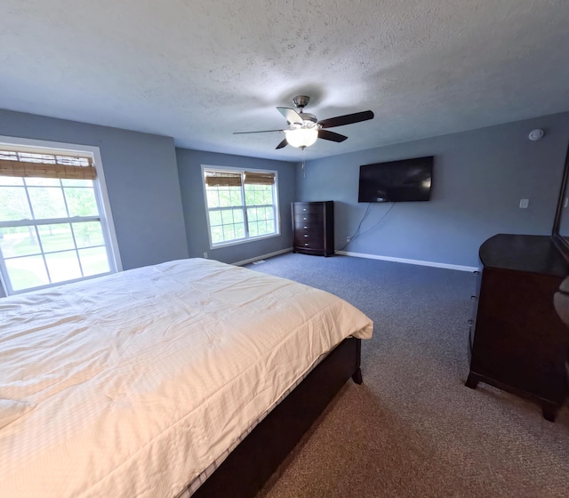 5734 108th Ave, Pullman, MI 49450 - bedroom featuring carpet, a textured ceiling, a ceiling fan, and baseboards