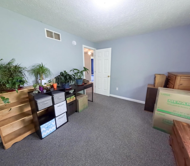 5734 108th Ave, Pullman, MI 49450 - office with a textured ceiling, carpet floors, and baseboards