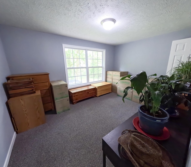 5734 108th Ave, Pullman, MI 49450 - sitting room with carpet flooring and a textured ceiling