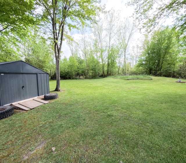 5734 108th Ave, Pullman, MI 49450 - view of grassy yard with a storage shed and an outdoor structure