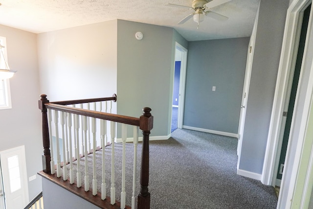 5734 108th Ave, Pullman, MI 49450 - stairway with carpet, a ceiling fan, and a textured ceiling