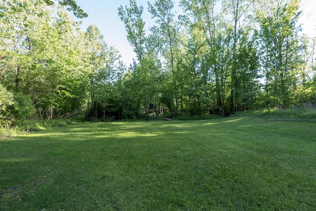 5734 108th Ave, Pullman, MI 49450 - view of green lawn featuring a view of trees